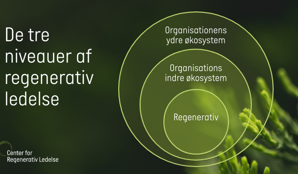 De tre niveauer af regenerativ ledelse